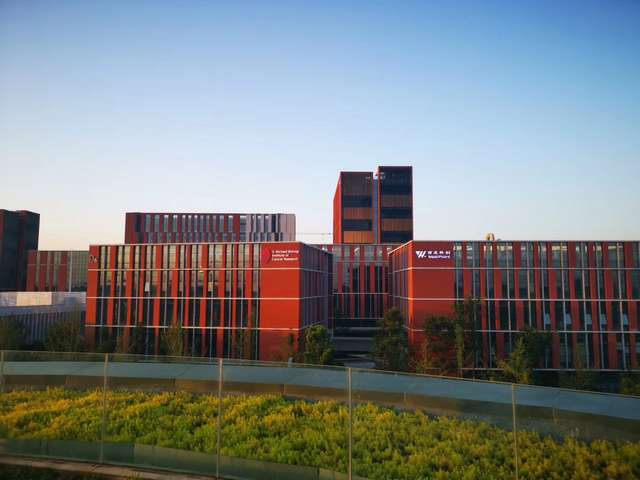 上海黄浦区口子窖10年口子窖报价单