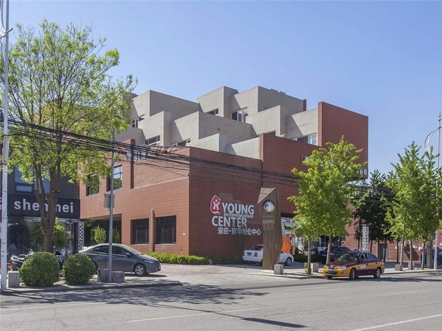 临沂防虫小麦种子招商