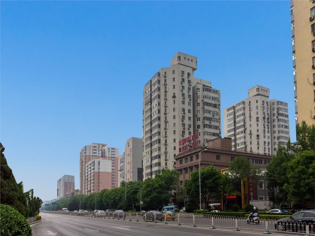 淄博天然骨粉供应